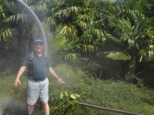 Sommer Reise behindert