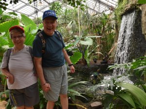 Sommer Reise behindert