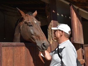 Pferd Urlaub behindert