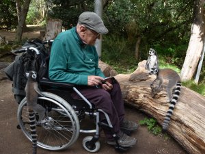 Rollstuhl Urlaub