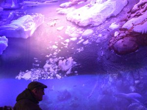 Behindrte Veranstaltung