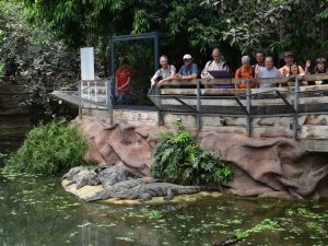 Behindertengruppe Reise
