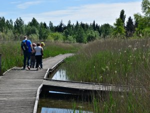 Handicap Urlaubsreise