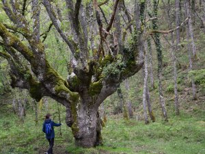 Natur Reise Behinderte