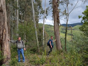 Behinderte wandern Urlaub