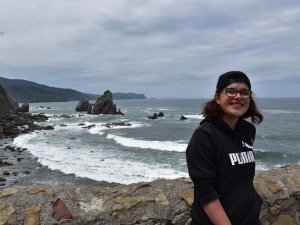 behindert Meer Reise