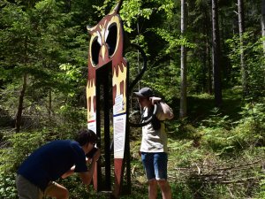 Natur Reise Behinderte