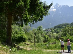 Betreuer Behinderte Tirol