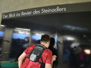 Freizeit behindert