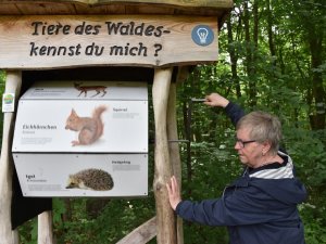 Behinderte Freizeit