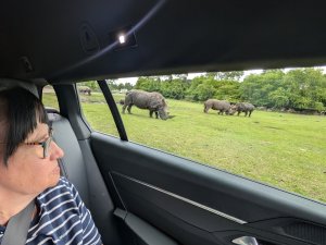 Behinderte Ausflug