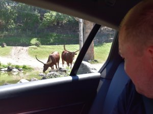 Reise behinderter Mensch