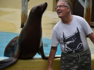 Handicap Reise Nordsee