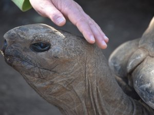 exotischer Urlaub Behinderung