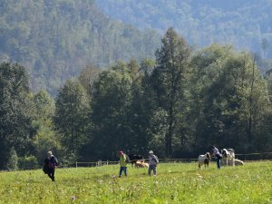 betreuter Behindertenurlaub