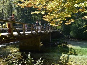 Reise Herbst Behinderte