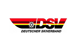 Dsv logo