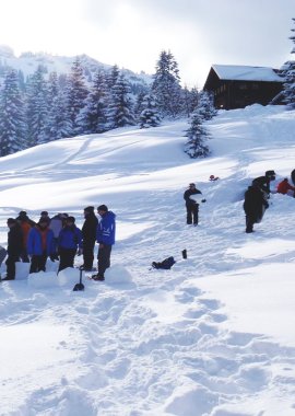 Iglubau
