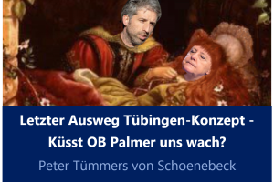 Titelbild Komatöse Corona-Politik