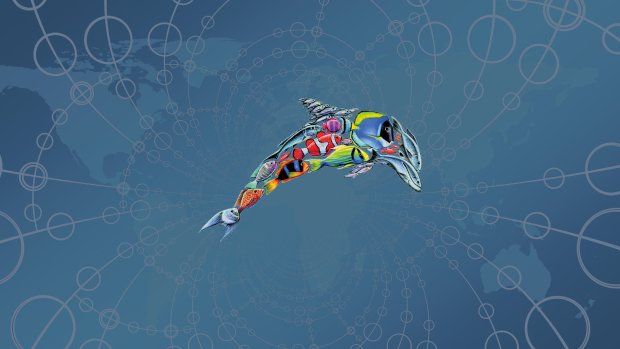 Empowerment Delphin fast & lean