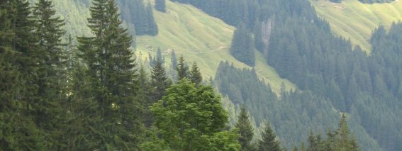Blick zur Hörnerbahn