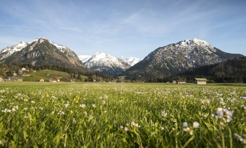 Blumenvielfalt im Ösch