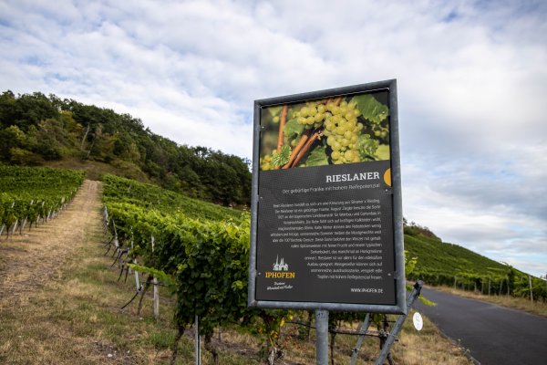 Rebsorten-Lehrpfad Iphofen