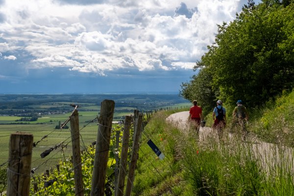 Wandern durch die Weinberge rund um Iphofen