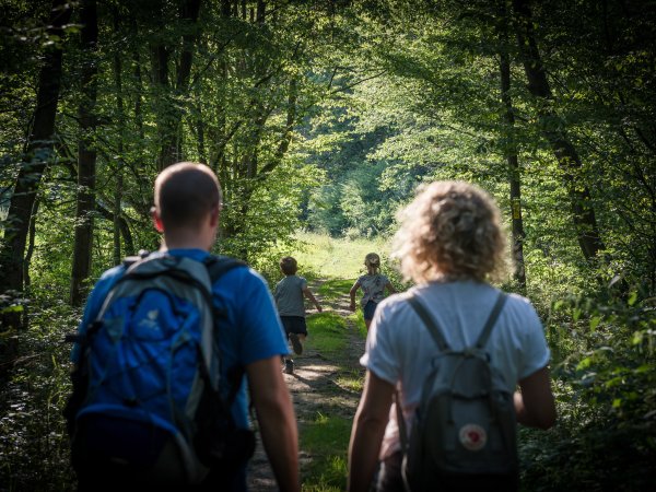 Wandern auf dem Mittelwaldweg