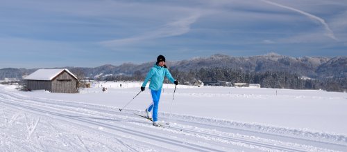 Langlaufen im Allgäu: beste Bedingungen bei Isny