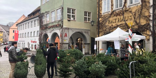 Christbaumverkauf-Wassertorstraße-Isny-Advent