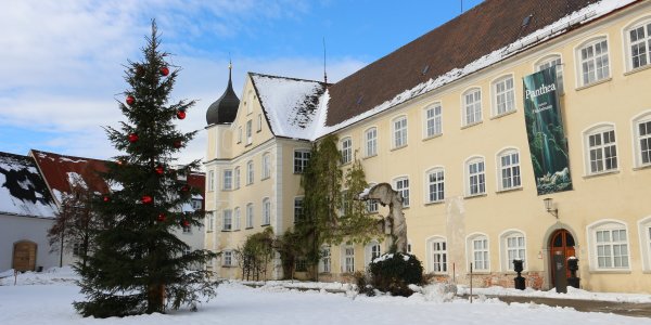 Schloss Isny im Winter, mit Weihnachtsbaum im Innenhof