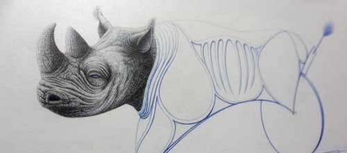 Werner Kimmerle, Rhino 3000, Bleistift/Buntstift-Zeichnung