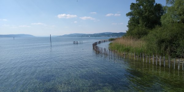 Bodensee mit Pfahlbaumuseum