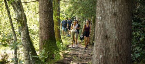 Geführte-Wanderung-über-Wurzelpfade-Foto-Ernst-Fesseler-org