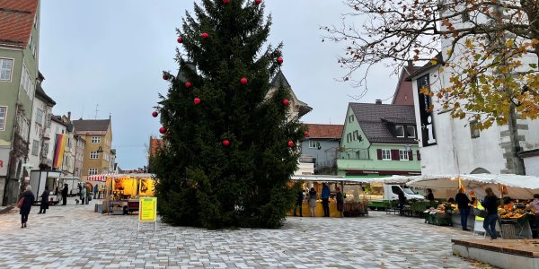Christbaum auf Marktplatz mit Wochenmarktständen