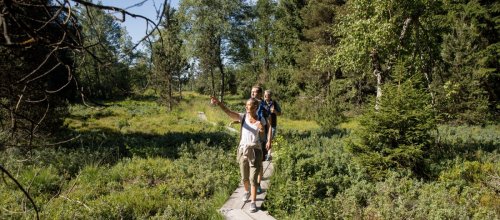 Geführte Moorwanderung Foto Ernst Fesseler