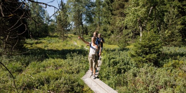 Geführte Moorwanderung Foto Ernst Fesseler