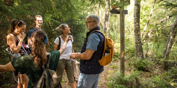 Geführte-Wanderung-durch-den-Wald-Foto-Ernst-Fesseler-org