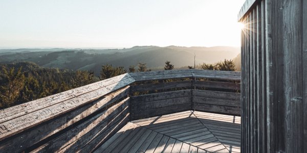 Ausblick von der Plattform auf dem Aussichtsturm auf dem Schwarzen Grat