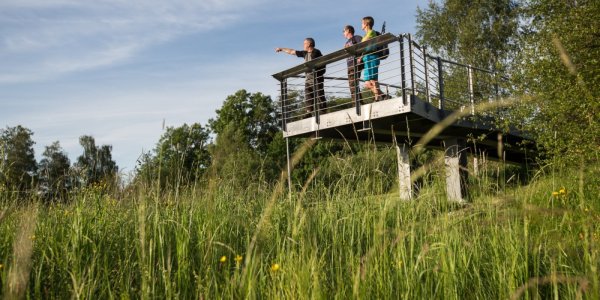 Einen tollen Ausblick bietet die Plattform bei den Bodenmösern