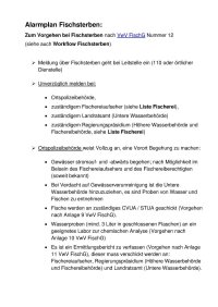 Alarmplan Fischsterben RPT 2024-12