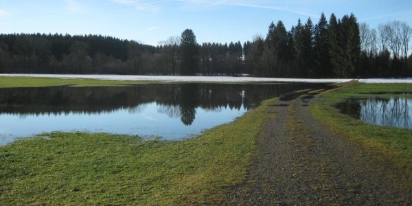Lexenhof Überflutung