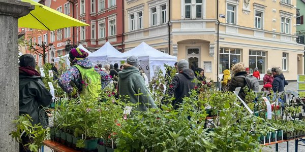 Grün, Grüner, Isnyer Frühlingsmarkt