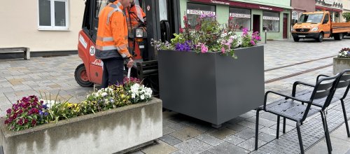 Neuer Pflanztrog wird gesetzt Foto Barbara Rau
