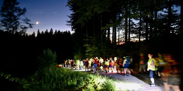 Viele Menschen wandern bei Nacht auf einem Waldweg, umgeben von Bäumen und der Dämmerung.