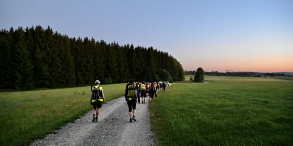 Eine Gruppe von Wanderern unterwegs auf einem Kiesweg in der Natur, umgeben von Bäumen bei Dämmerung.
