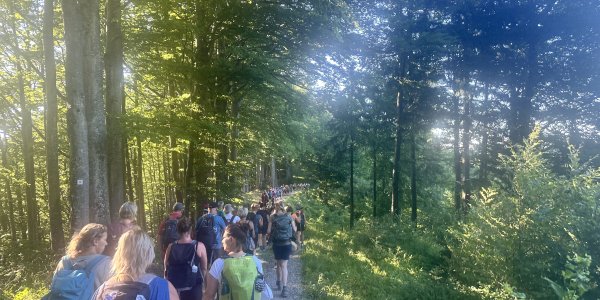 Die große Pilgergruppe genießt die Wanderung durch den schönen Wald der Adelegg an einem sonnigen Nachmittag.