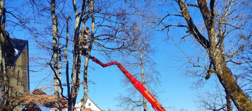 Baumfällarbeiten im Kurpark. Foto: Stadt Isny/Michael Panzram