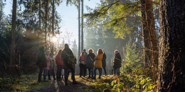 Die Gruppe erwandert unter fachkundlicher Führung die Naturräume rund um Isny im Allgäu.